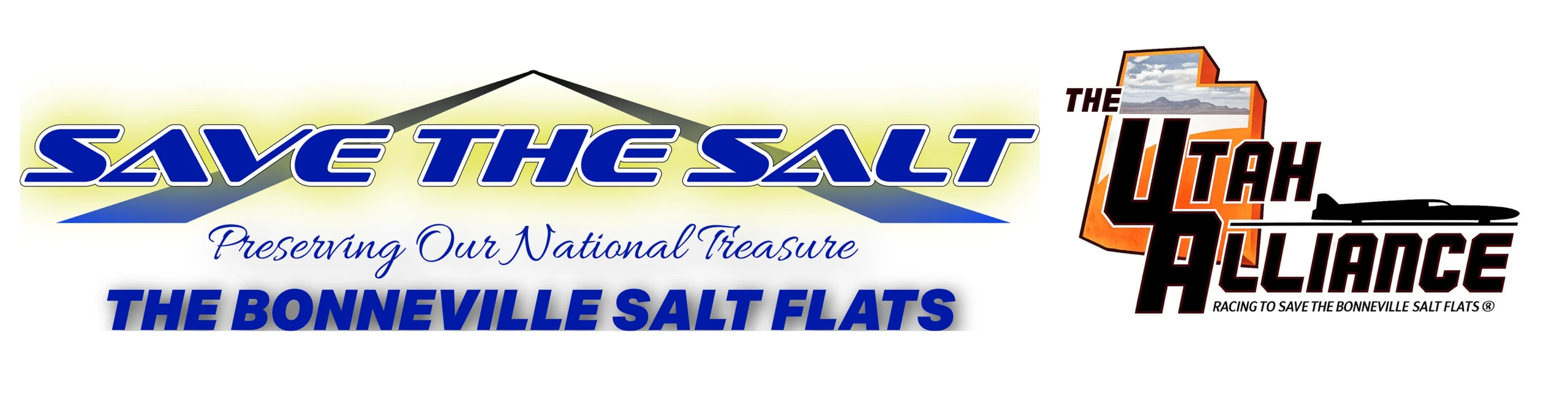 save the salt logo